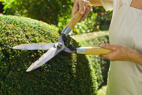 Professional landscaper in Ropesville, TX Professional landscaper in Ropesville, TX